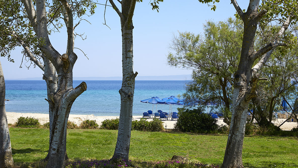 Theophano Imperial Palace - NR